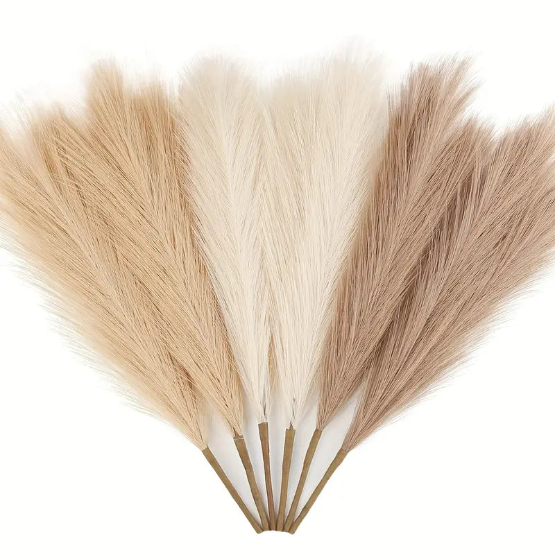 6pc Pampas Grass