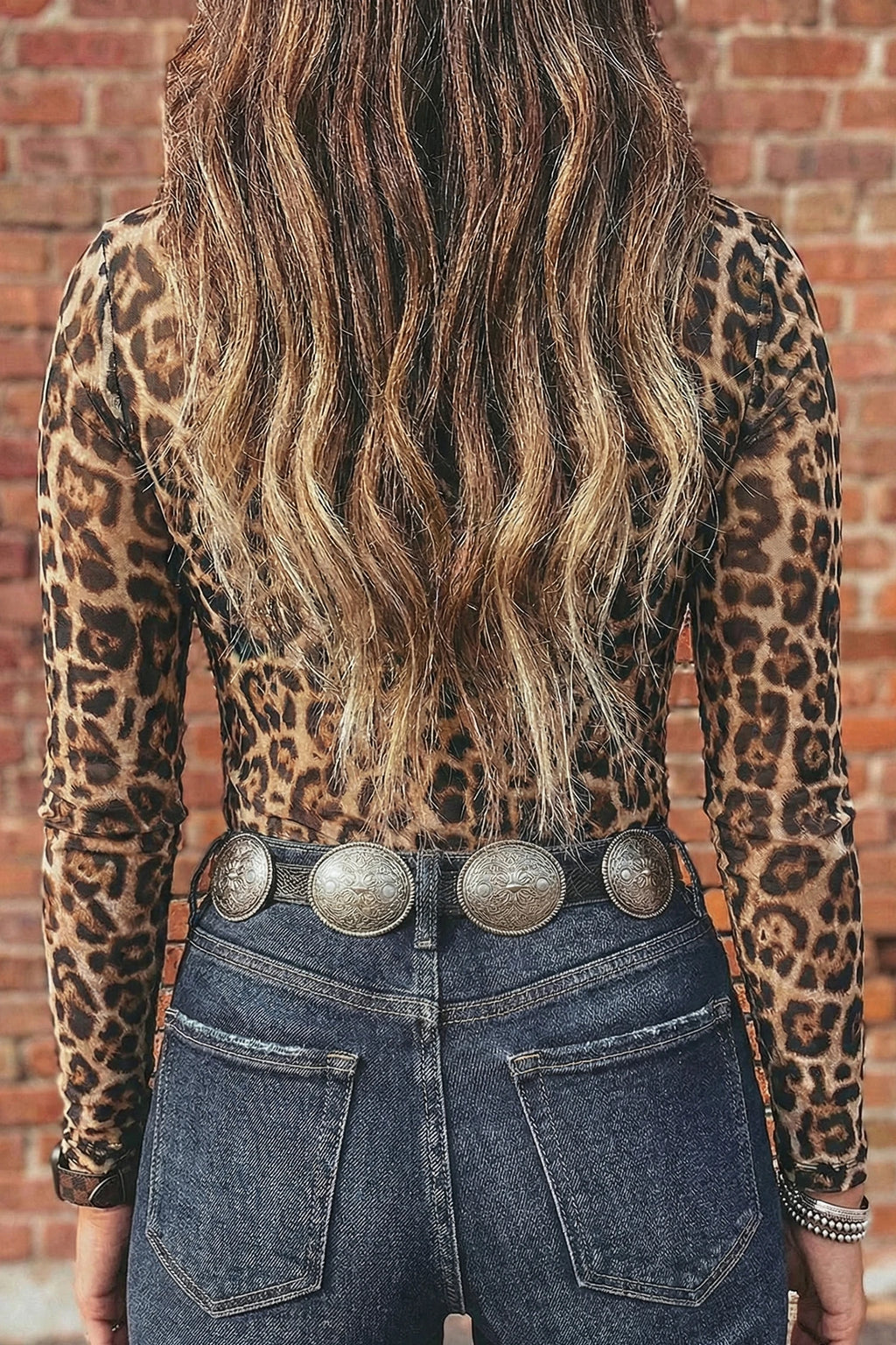 Leopard Print Mesh Long Sleeve Top