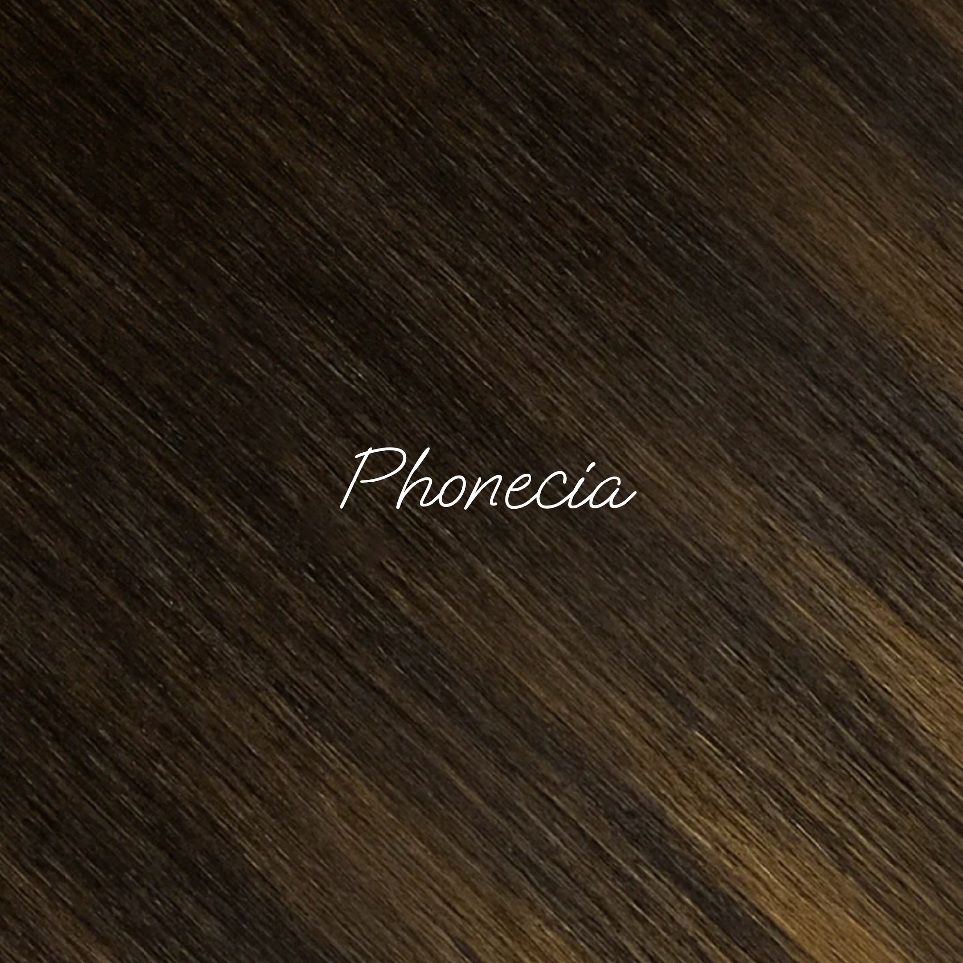 Phonecia