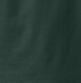 Hanes Essential-T Short Sleeve Tee