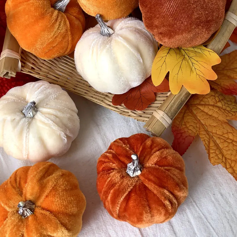 Velvet Pumpkins
