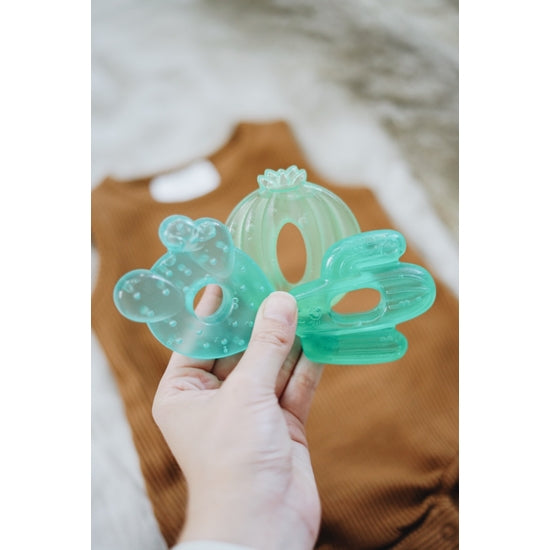 Cactus Water Filled Teethers 3-pack