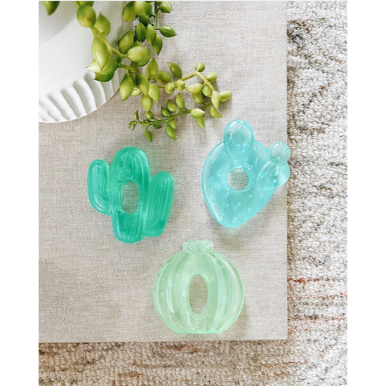 Cactus Water Filled Teethers 3-pack