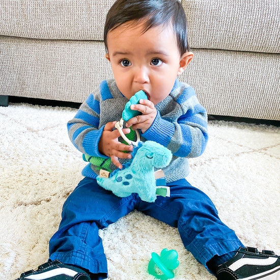 Dino Plush + Teether